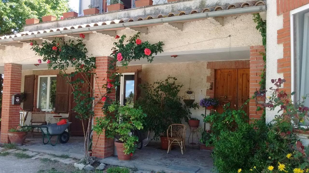 B&B La Gallinella Rossa Baschi Exteriér fotografie