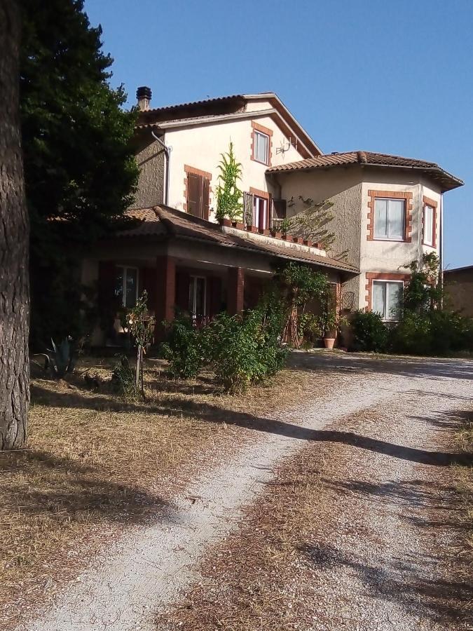 B&B La Gallinella Rossa Baschi Exteriér fotografie