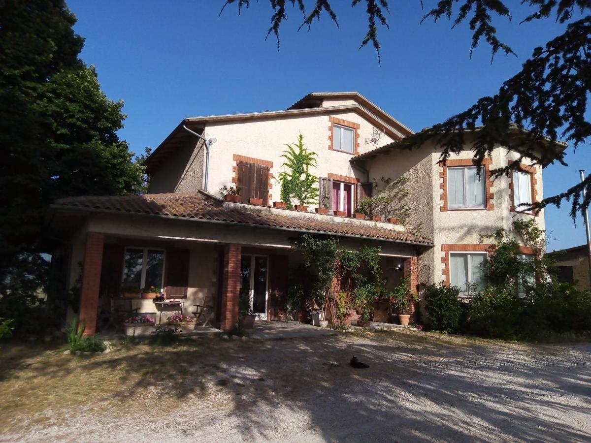 B&B La Gallinella Rossa Baschi Exteriér fotografie